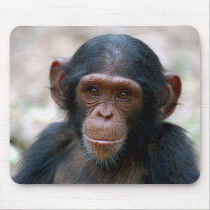 Cheeky Chimp Mouse Pad
