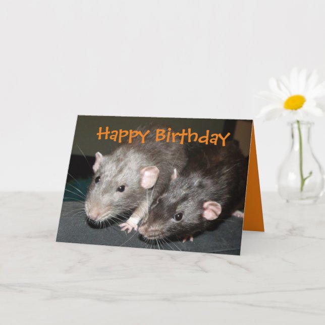 Cheeky Dumbo rats birthday card (Small Plant)