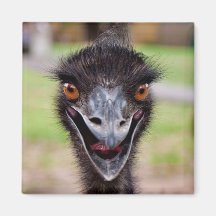 Cheeky Emu Fridge Magnet