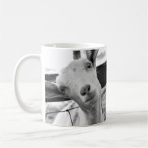 Cheeky Kids Mug (baby goats)