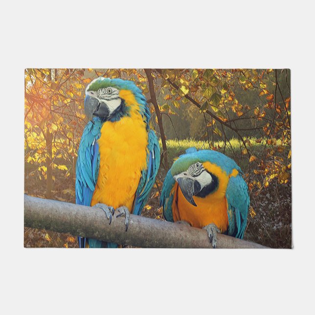Cheeky macaws doormat (Front)
