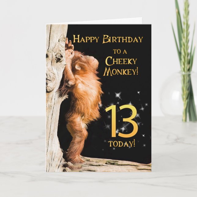Cheeky monkey age 13 card (Front)
