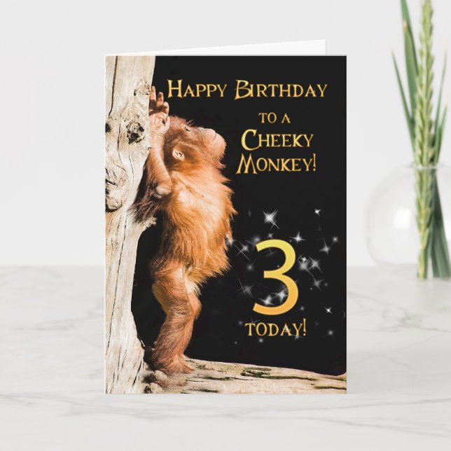 Cheeky monkey age 3 card (Front)