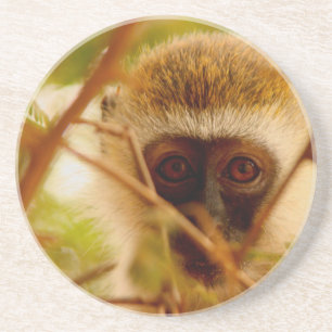 Cheeky Monkey. Coaster