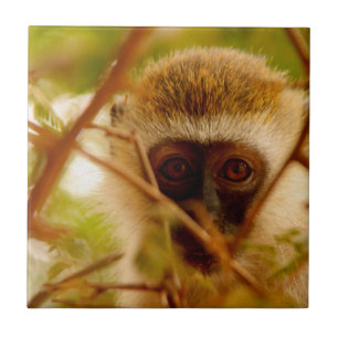 Cheeky Monkey. Tile