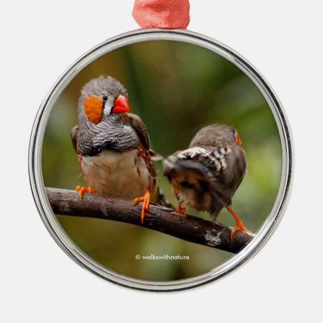 Cheeky Pair of Zebra Finch Songbirds Metal Tree Decoration (Front)