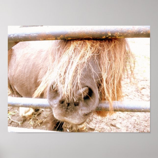 Cheeky Pony Poster (Front)