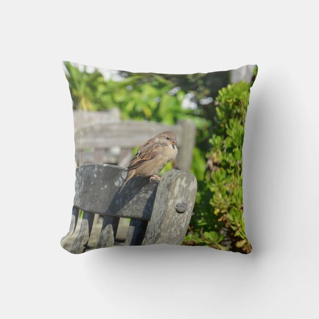 Cheeky Sparrow Pillow (Front)