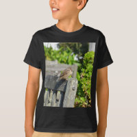 Cheeky Sparrow