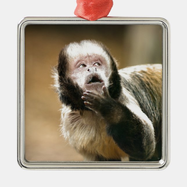 Cheeky & thoughtful baby capuchin monkey metal tree decoration (Front)