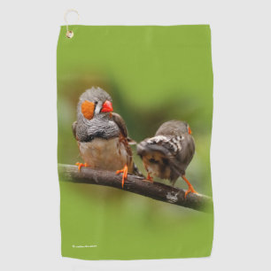 Cheeky Zebra Finches Songbirds on Branch Golf Towel