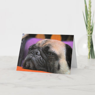 Cheer-up! Pug Greeting Card