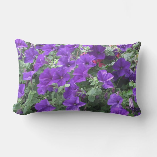 Cheerful lumbar pillow with purple petunias! (Front)