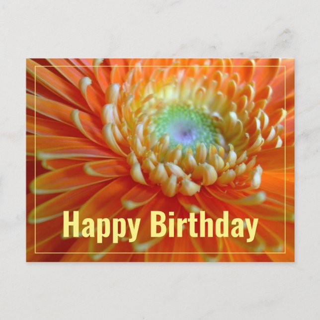 Cheerful Orange Gerber  Happy Birthday Postcard (Front)