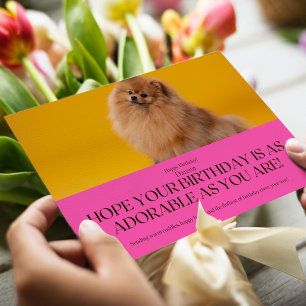 Cheerful Pomeranian Birthday Card -Pink and Orange