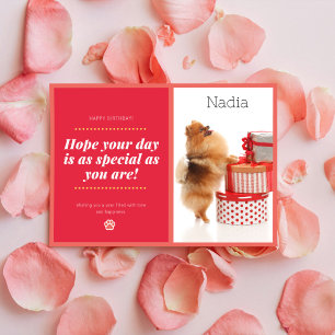 Cheerful Red Pomeranian Birthday Card