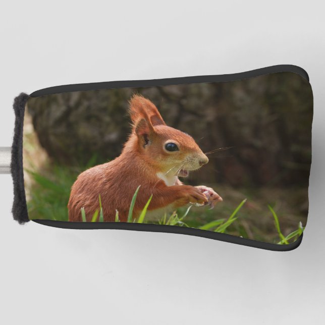 Cheerful Red Squirrel Golf Head Cover (Front)
