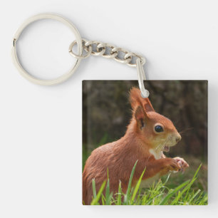 Cheerful Red Squirrel Key Ring