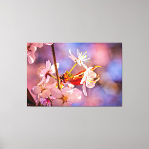 Cheerful Sakura Flowers Canvas Print