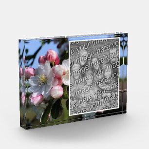 Cheerful Spring Flower Blossoms Add Your Own Photo Block
