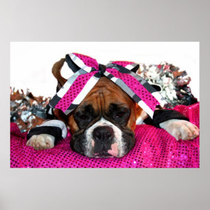 Cheerleader Boxer dog poster