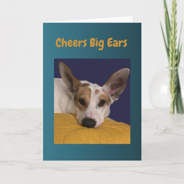 Cheers Big Ears Happy Birthday Card (Front)