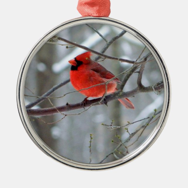 Cheery Cardinal Premium Ornament (Front)