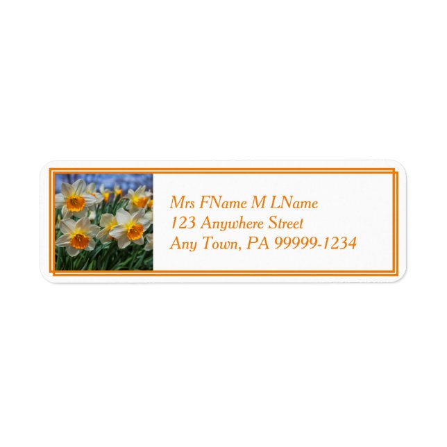 Cheery Daffodils (Front)