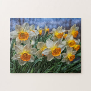 Cheery Daffodils 11"x14" challenging Jigsaw Puzzle