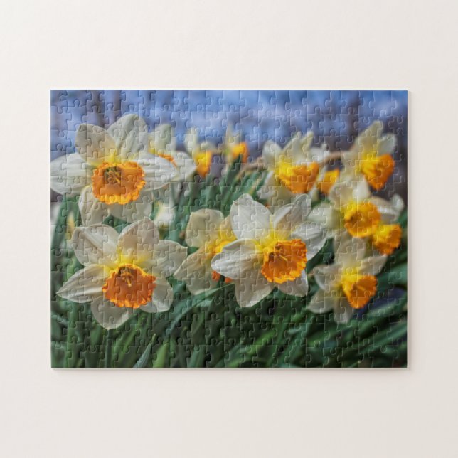 Cheery Daffodils 11"x14" challenging Jigsaw Puzzle (Horizontal)