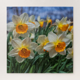 Cheery Daffodils 20"x20" difficult Jigsaw Puzzle