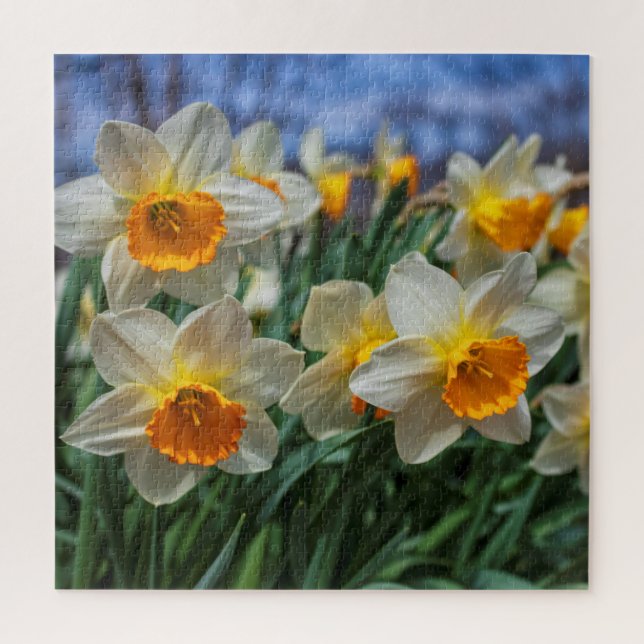Cheery Daffodils 20"x20" difficult Jigsaw Puzzle (Vertical)