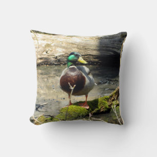 Cheery Mallard Duck (Male) Pillow