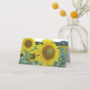 Cheery Sunflower Folded Note Cards