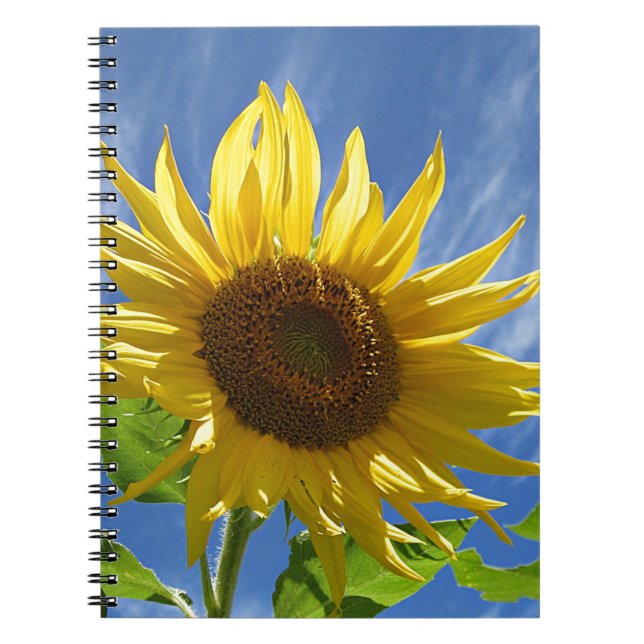 Cheery Sunflower Spiral Notebook (Front)