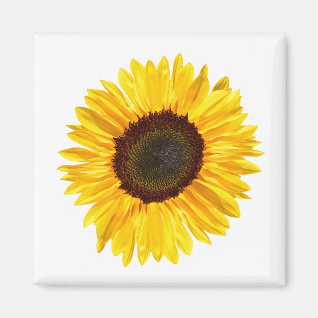 Cheery Yellow Sunflower Magnet (Front)