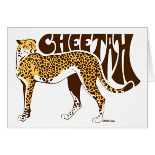 Cheetah