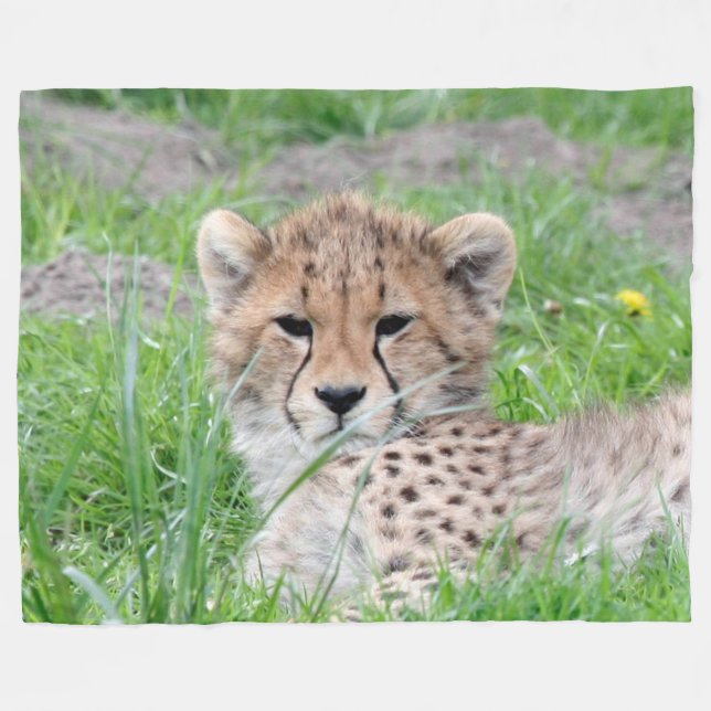 Cheetah20150904 Fleece Blanket (Front (Horizontal))