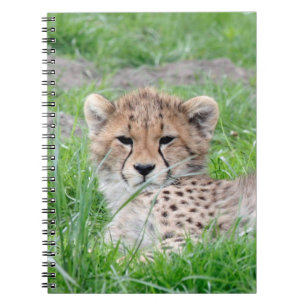 Cheetah20150904 Spiral Notebook