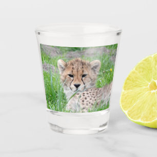 Cheetah 002 shot glass