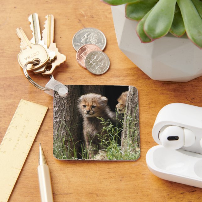 Cheetah 005 key ring (Desk)