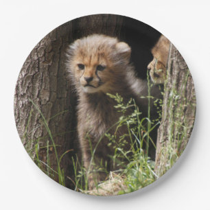 Cheetah 005 paper plate