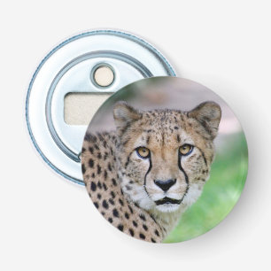 Cheetah 009 bottle opener