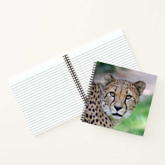 Cheetah 009 notebook (Inside)