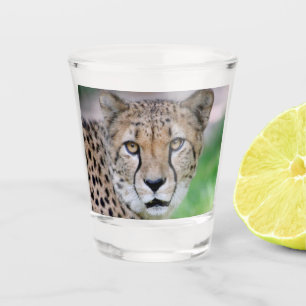 Cheetah 009 shot glass
