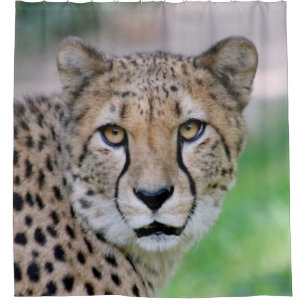 Cheetah 009 shower curtain