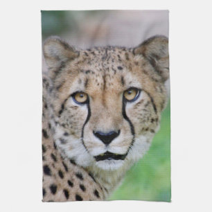Cheetah 009 tea towel