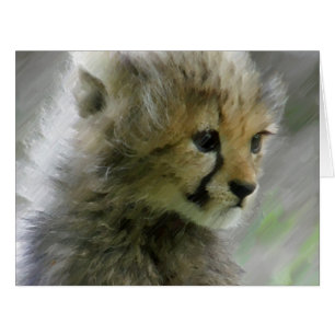 Cheetah 014