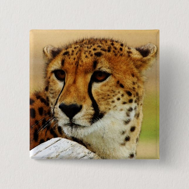Cheetah 15 Cm Square Badge (Front)