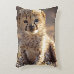 Cheetah 19 days old male cub decorative cushion